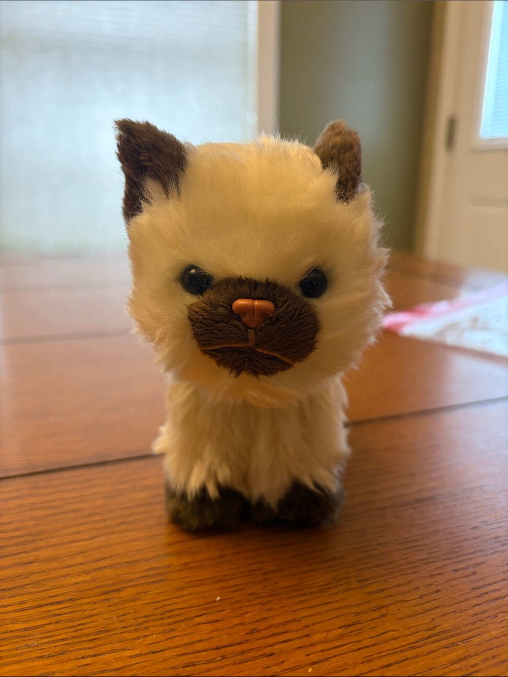 American Girl Plush Himalayan Kitten - Cream and Brown